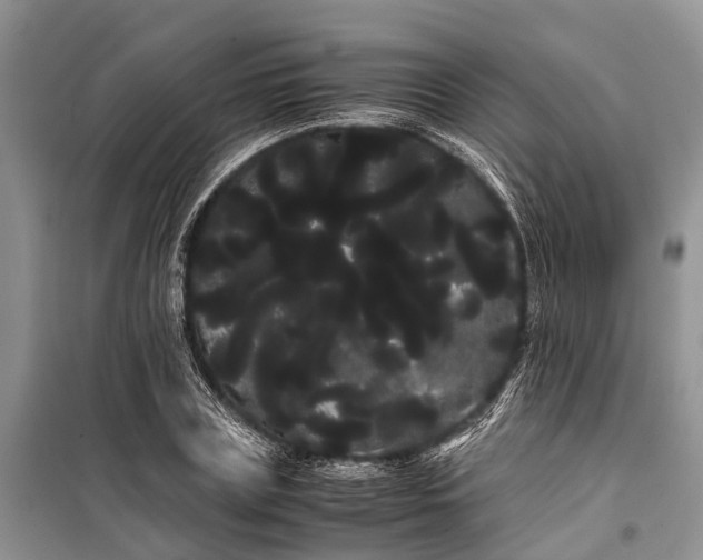 X0000100220835200806131312