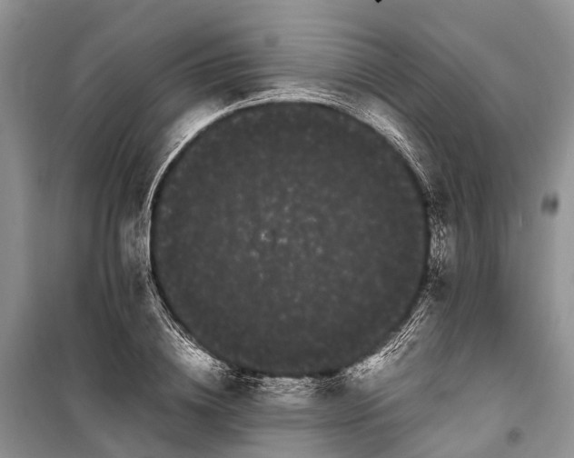 X0000100220836200806131312