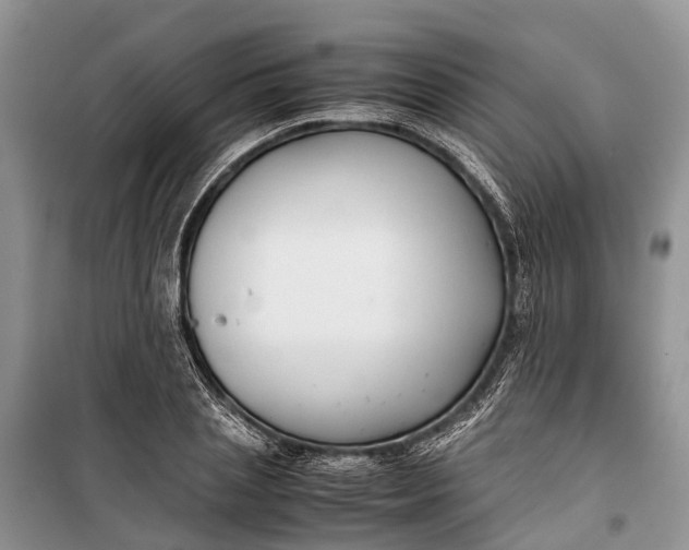 X0000100220837200806131312