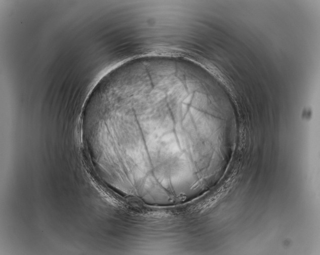 X0000100220838200806131312