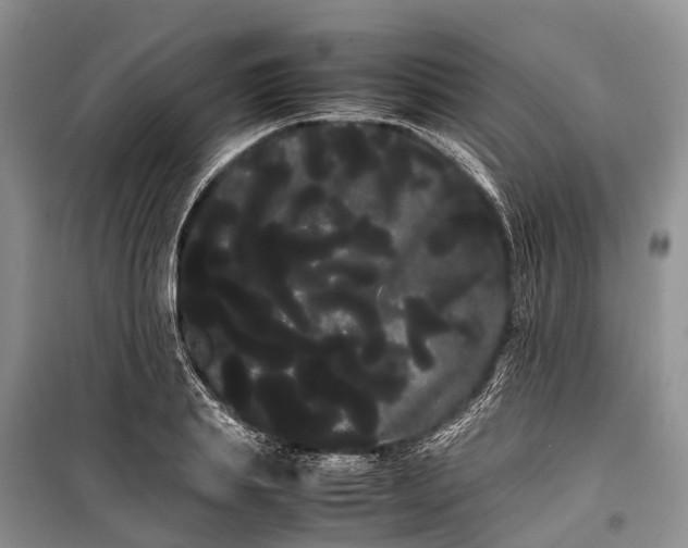 X0000100220839200806131312