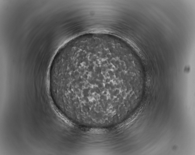 X0000100220840200806131312