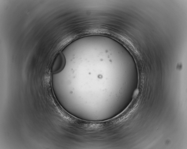 X0000100220841200806131312