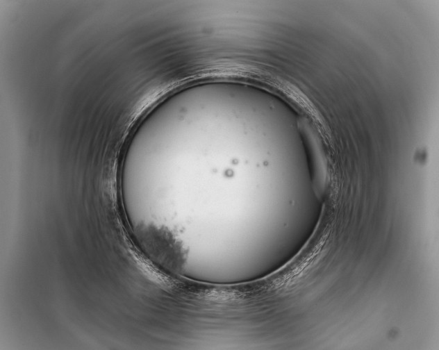 X0000100220842200806131312