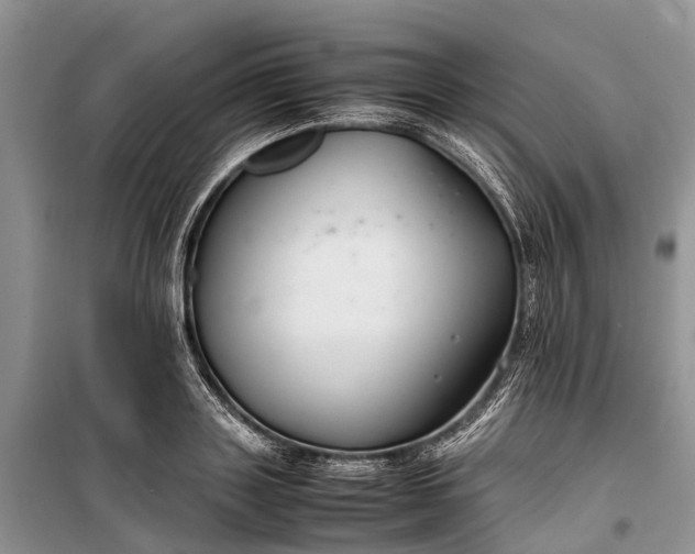 X0000100220843200806131312