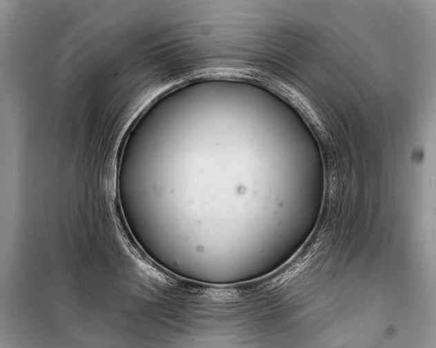 X0000100220844200806131312