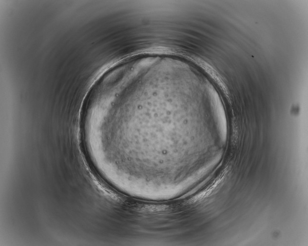 X0000100220845200806131312