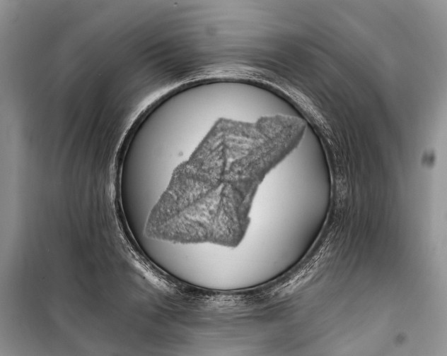 X0000100220846200806131312