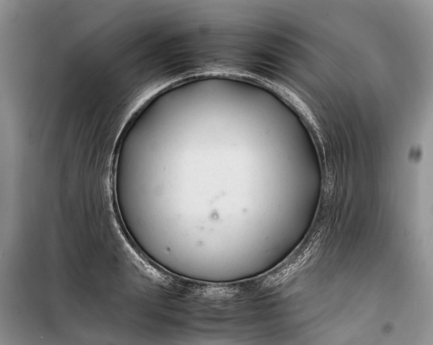 X0000100220847200806131312