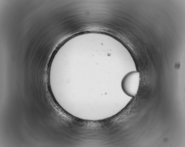 X0000100220848200806131312