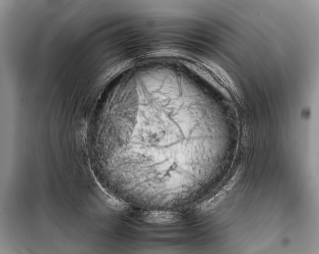 X0000100220849200806131312