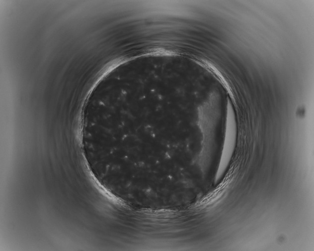 X0000100220851200806131312