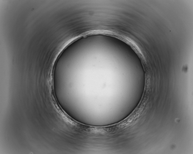 X0000100220852200806131312