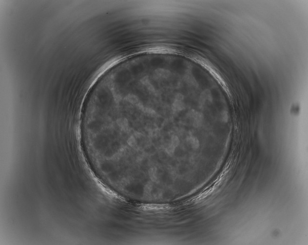 X0000100220853200806131312