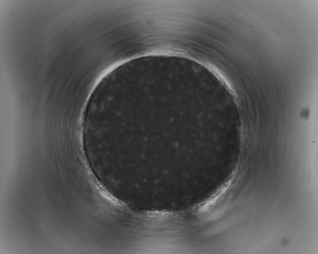 X0000100220854200806131312