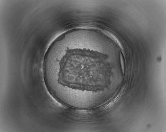 X0000100220855200806131312