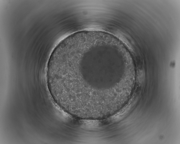 X0000100220856200806131312