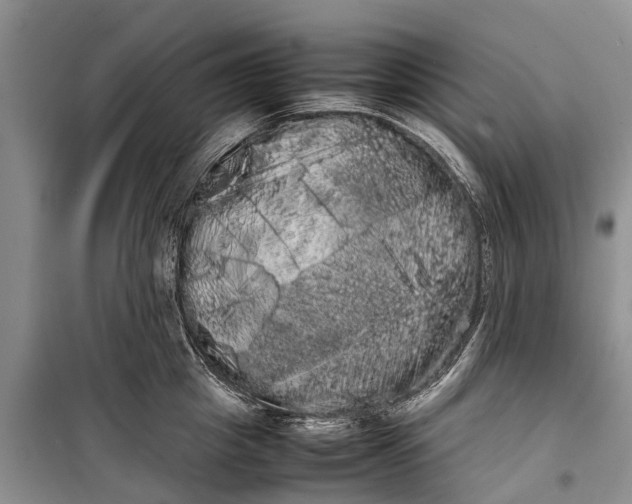 X0000100220857200806131312