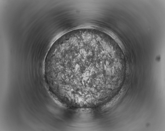 X0000100220858200806131312