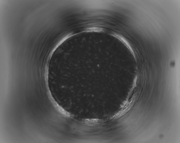 X0000100220859200806131312