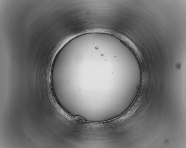 X0000100220860200806131312