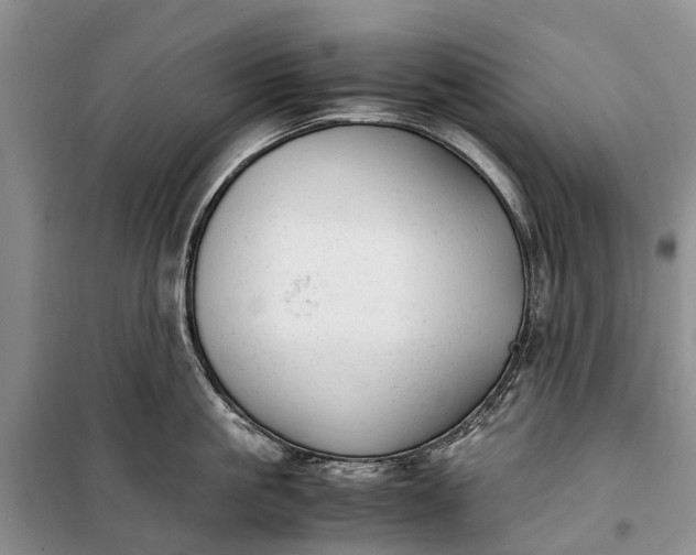 X0000100220861200806131312