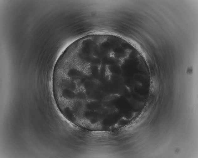 X0000100220863200806131312