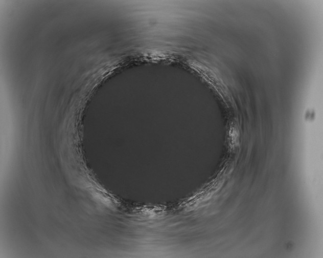 X0000100220865200806131312