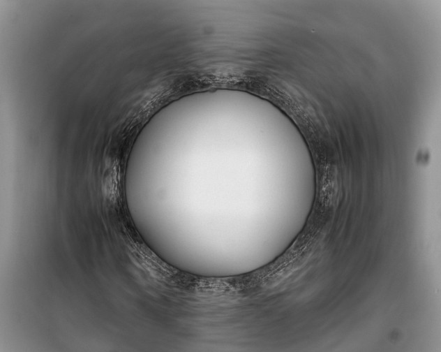 X0000100220866200806131312