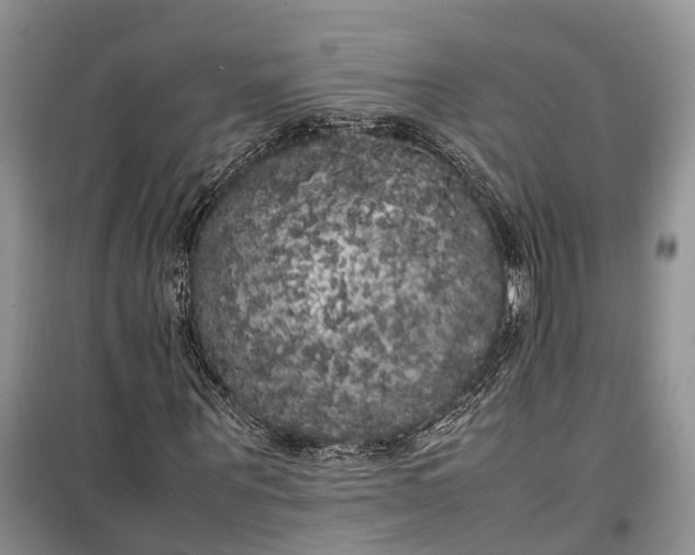 X0000100220867200806131312