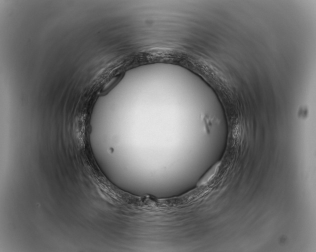 X0000100220868200806131312