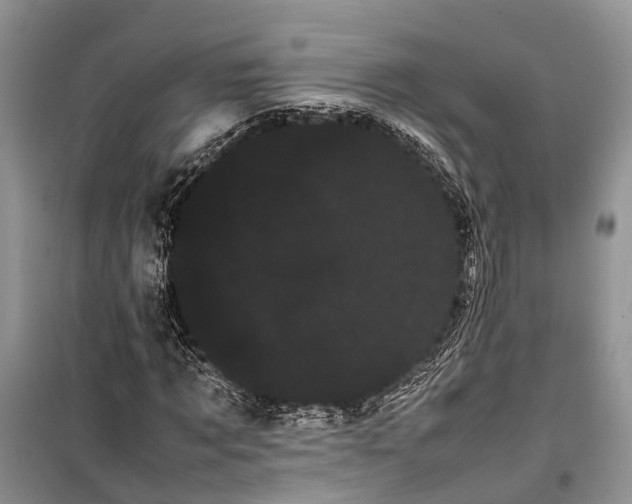 X0000100220869200806131312