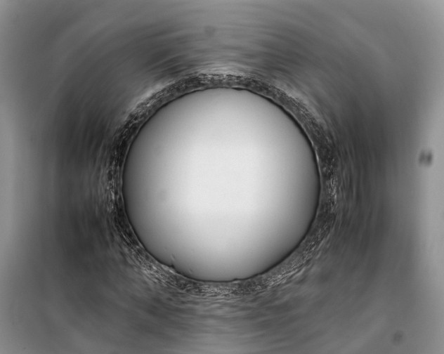 X0000100220870200806131312