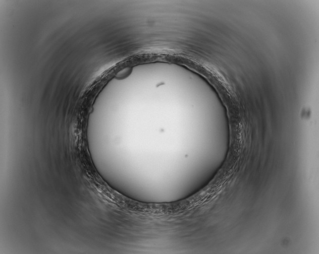 X0000100220872200806131312