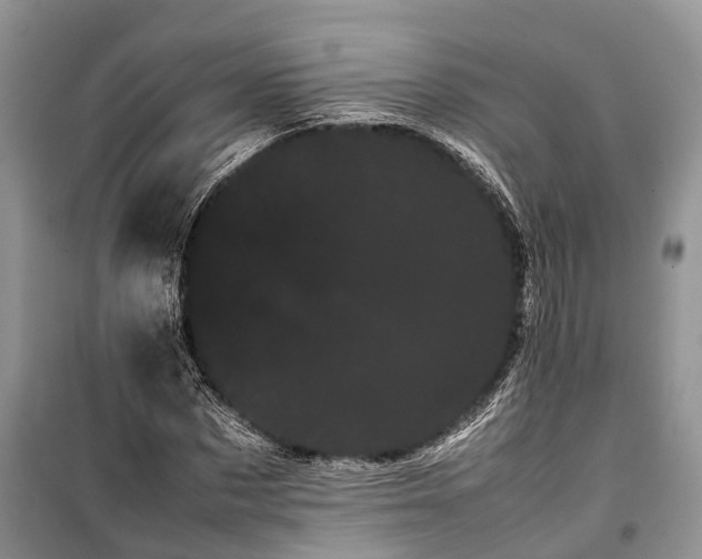 X0000100220873200806131312