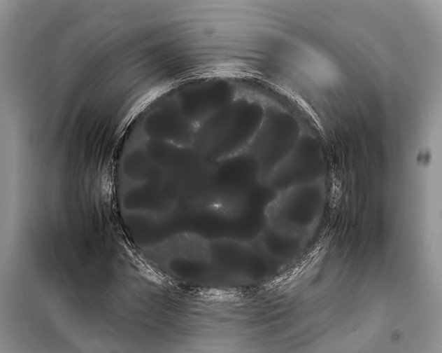 X0000100220874200806131312