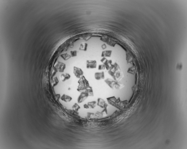 X0000100220875200806131312