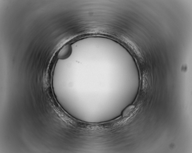 X0000100220876200806131312