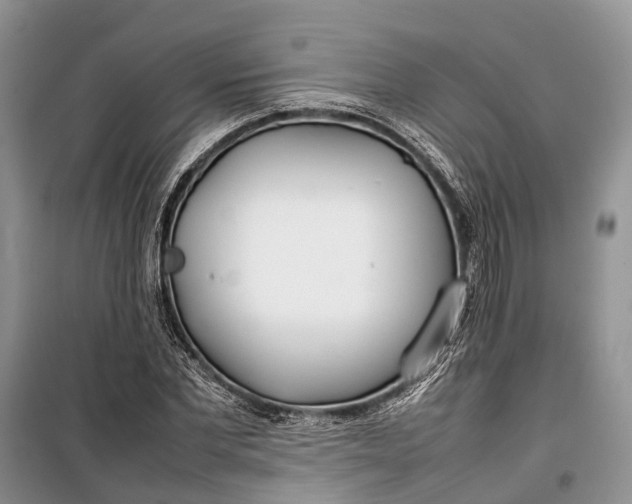 X0000100220877200806131312