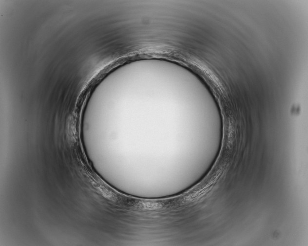 X0000100220878200806131312