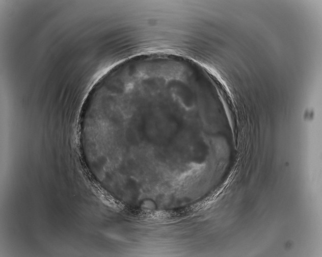 X0000100220879200806131312