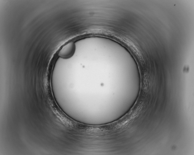 X0000100220880200806131312