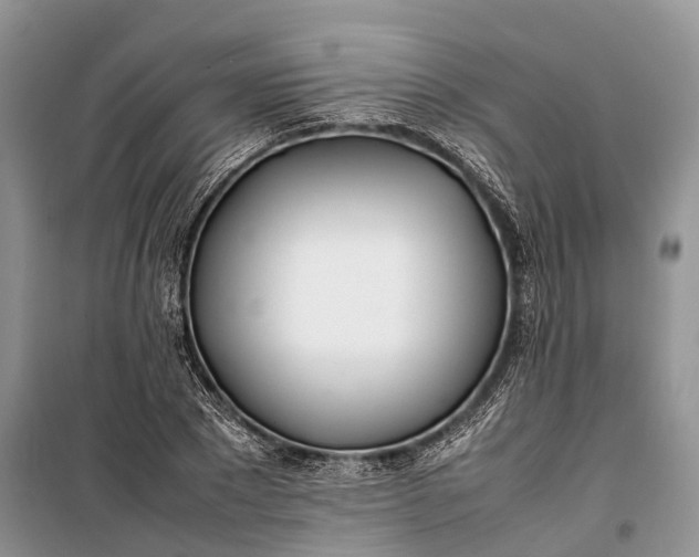 X0000100220881200806131312