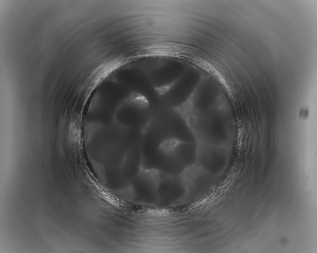 X0000100220882200806131312