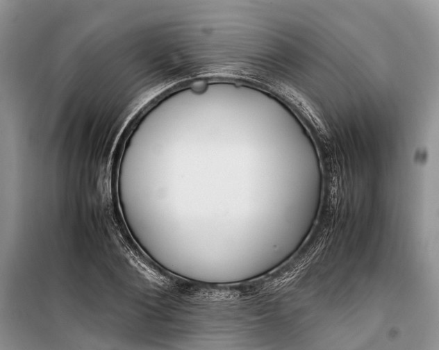 X0000100220884200806131312