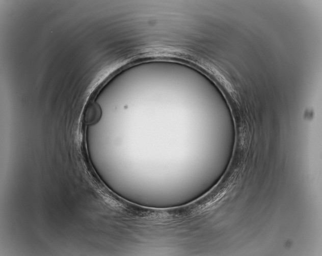 X0000100220885200806131312