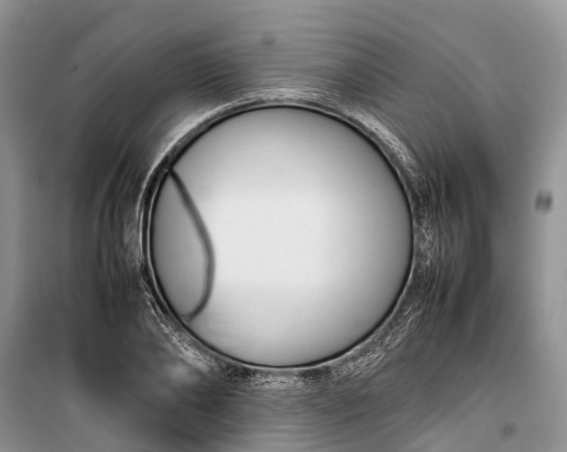 X0000100220886200806131312