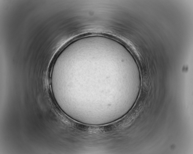 X0000100220887200806131312