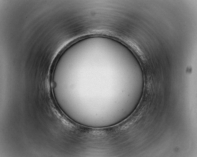 X0000100220888200806131312