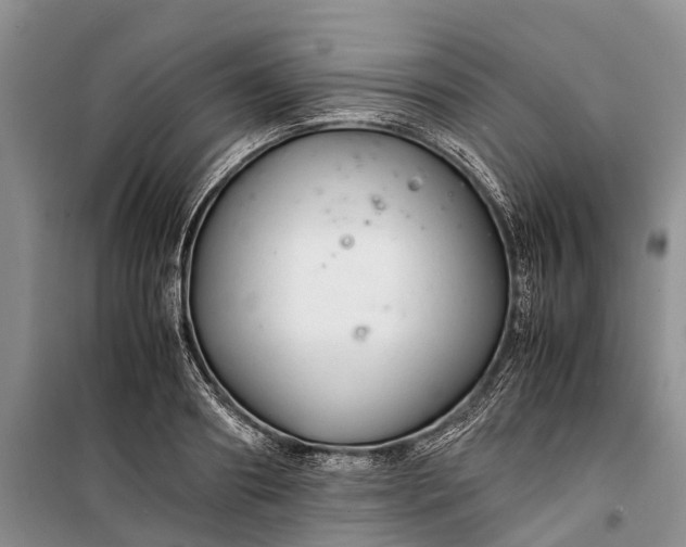 X0000100220890200806131311